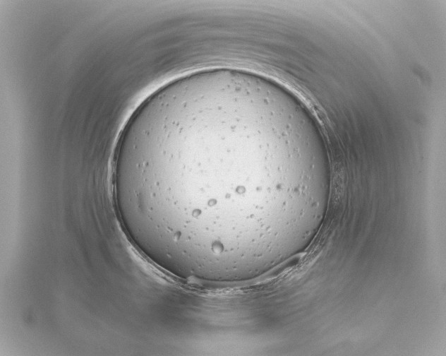 X0000116021535200912041739