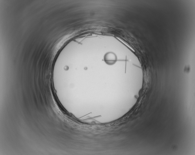 X0000116020003200912111403