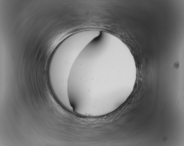 X0000116020005200912111403