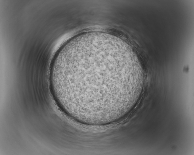 X0000116020006200912111403