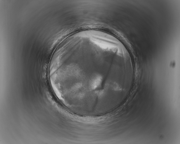 X0000116020010200912111403