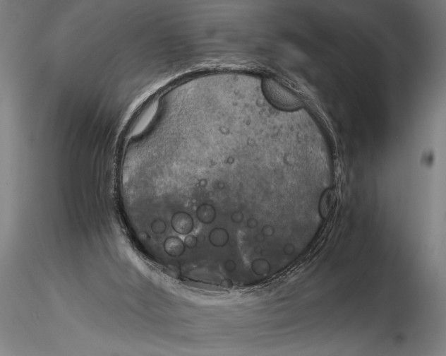 X0000116020012200912111403