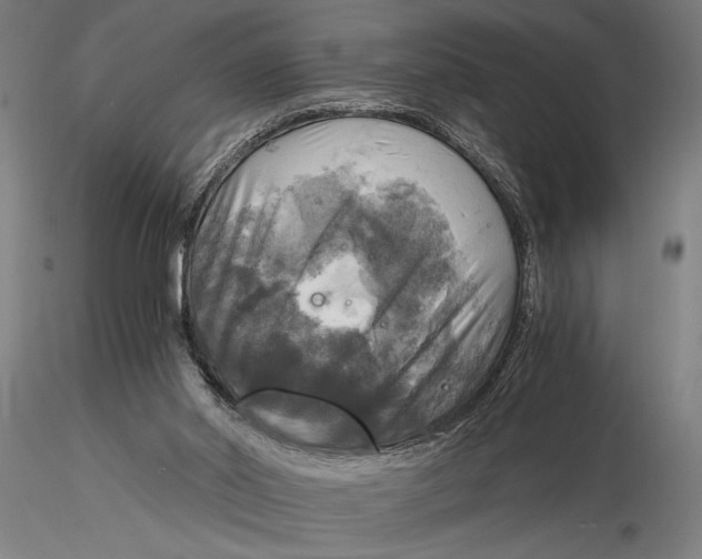 X0000116020014200912111403