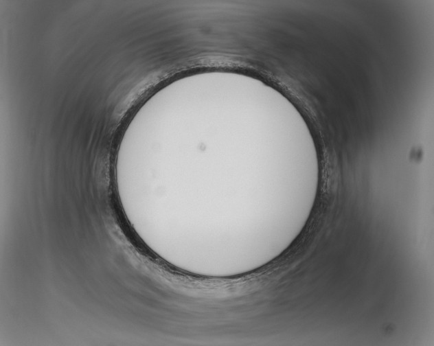 X0000116020015200912111403