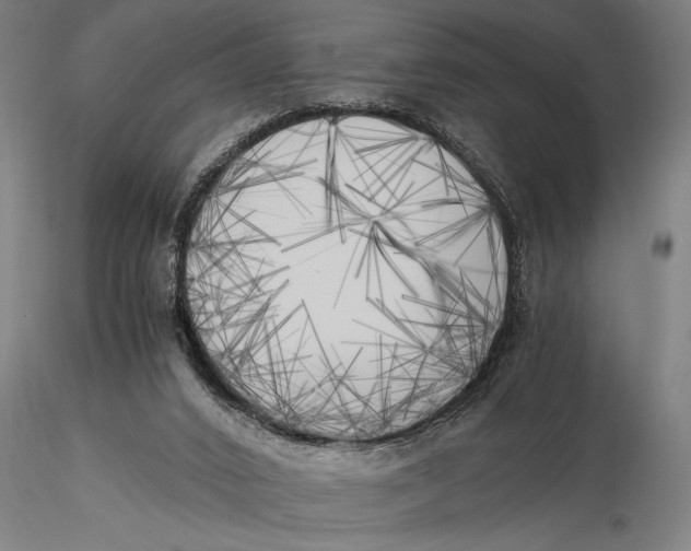 X0000116020016200912111403