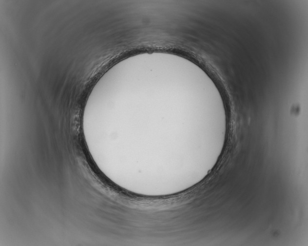 X0000116020017200912111403