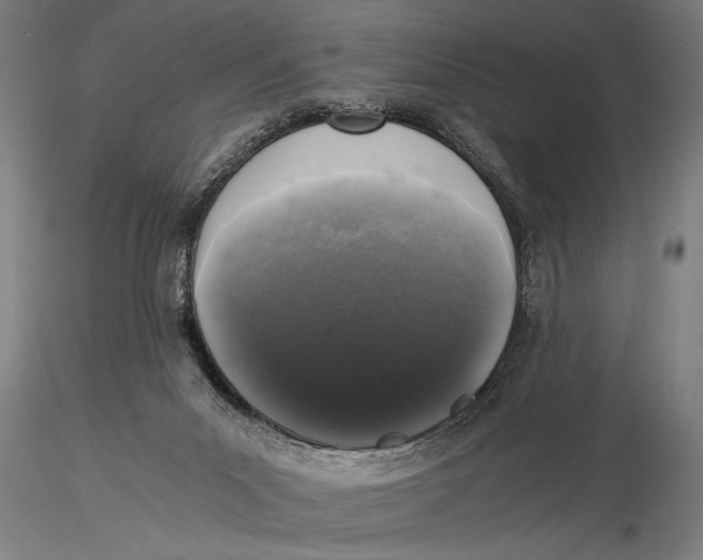 X0000116020023200912111403