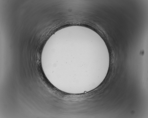 X0000116020025200912111403