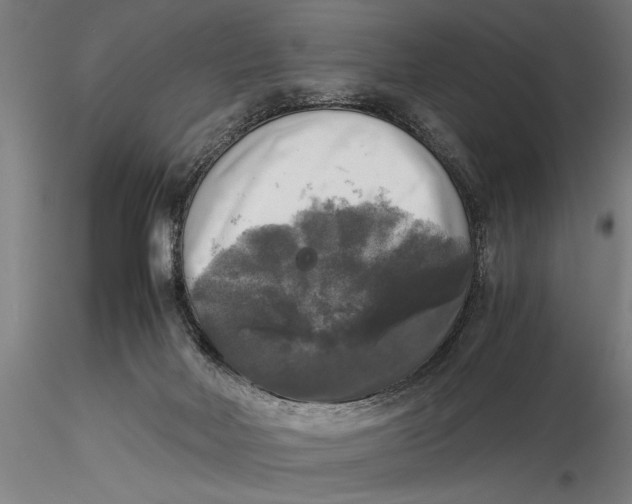 X0000116020026200912111403