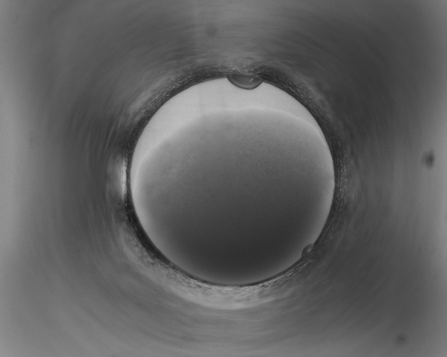 X0000116020027200912111403