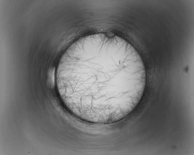 X0000116020028200912111403