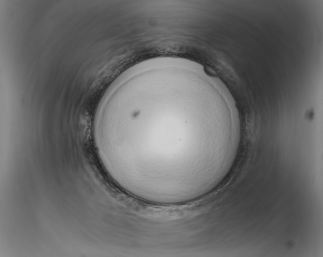 X0000116020029200912111403