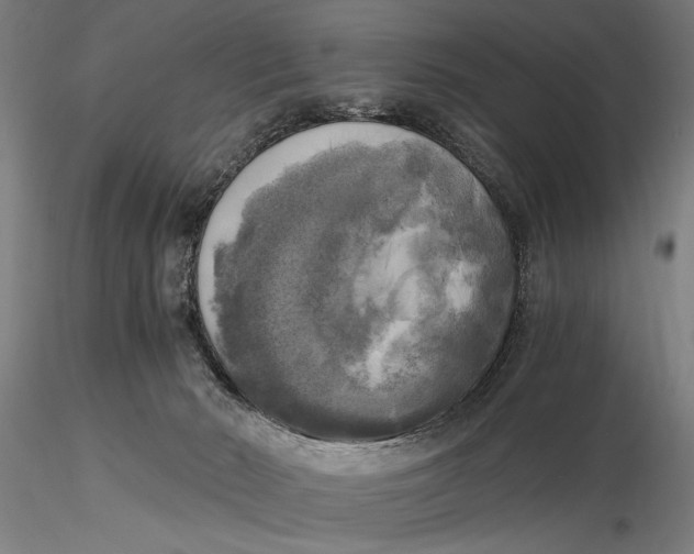 X0000116020030200912111403