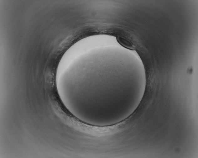 X0000116020031200912111403