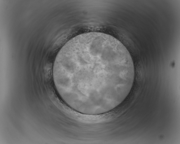 X0000116020034200912111402