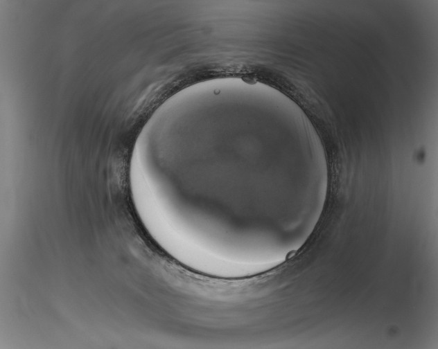 X0000116020035200912111402