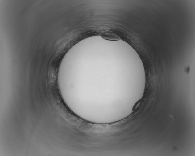 X0000116020037200912111402