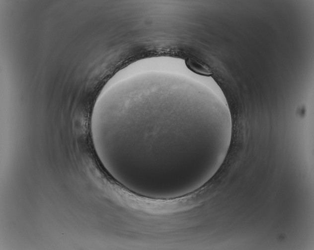 X0000116020039200912111402