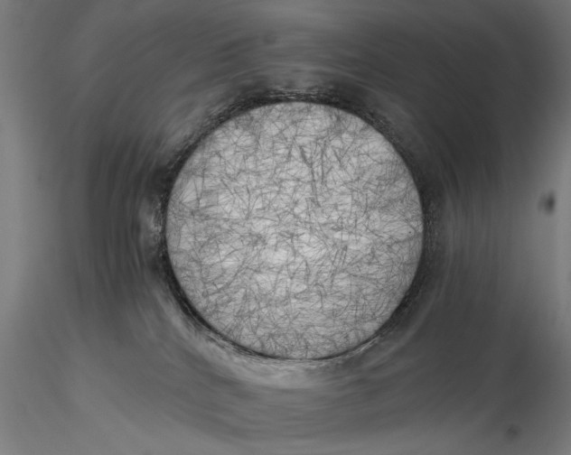 X0000116020040200912111402