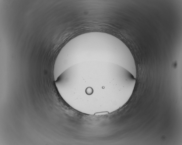 X0000116020041200912111402