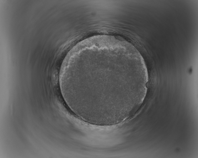 X0000116020043200912111402