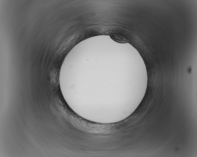 X0000116020044200912111402