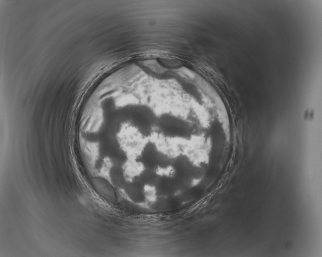 X0000116020049200912111402