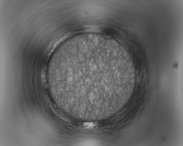 X0000116020050200912111402