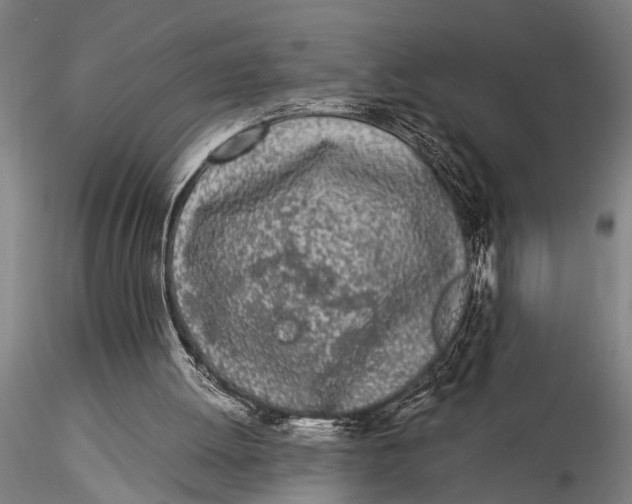 X0000116020052200912111402