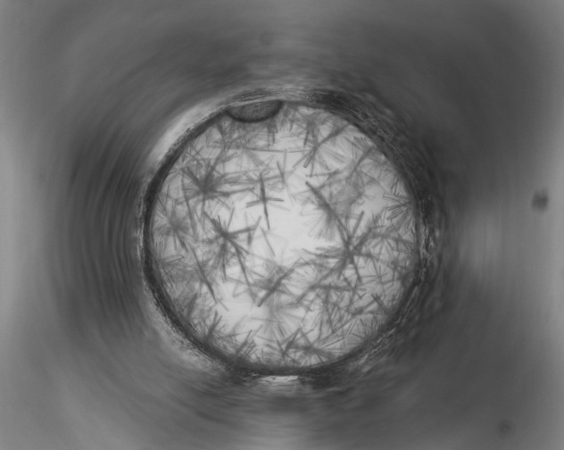 X0000116020054200912111402