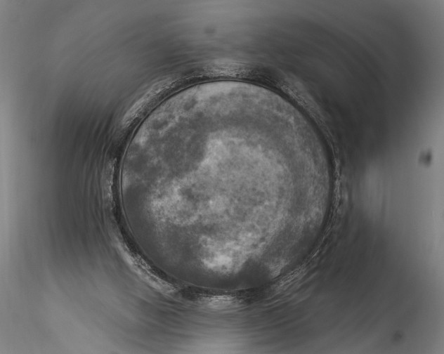 X0000116020058200912111402