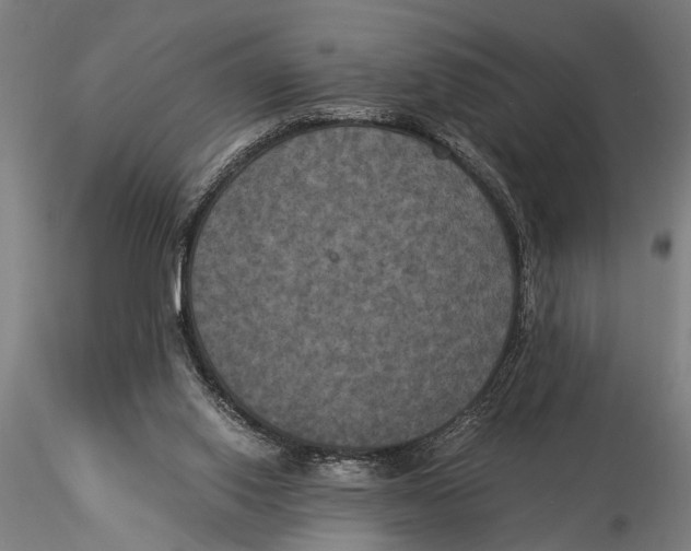 X0000116020062200912111402