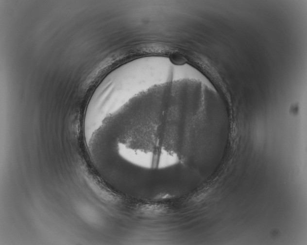 X0000116020063200912111402