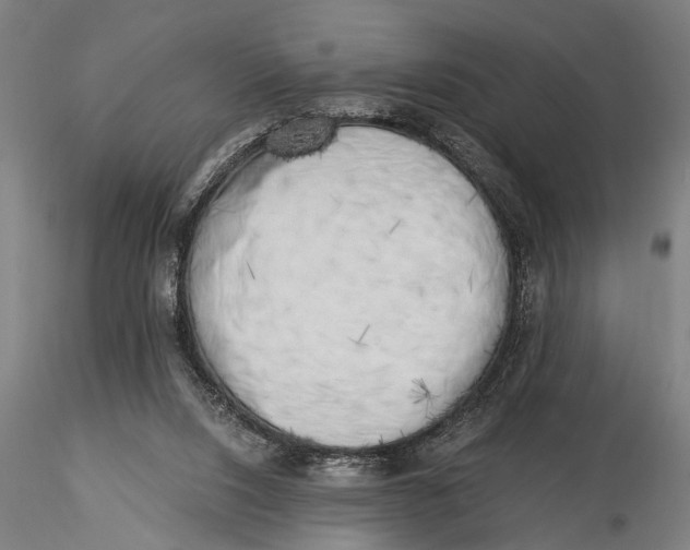 X0000116020064200912111402