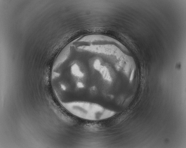 X0000116020065200912111402