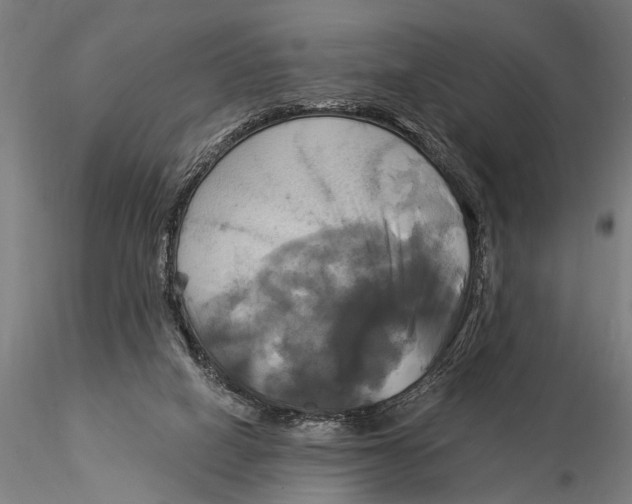 X0000116020066200912111402