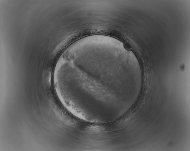 X0000116020067200912111402