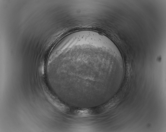 X0000116020068200912111402