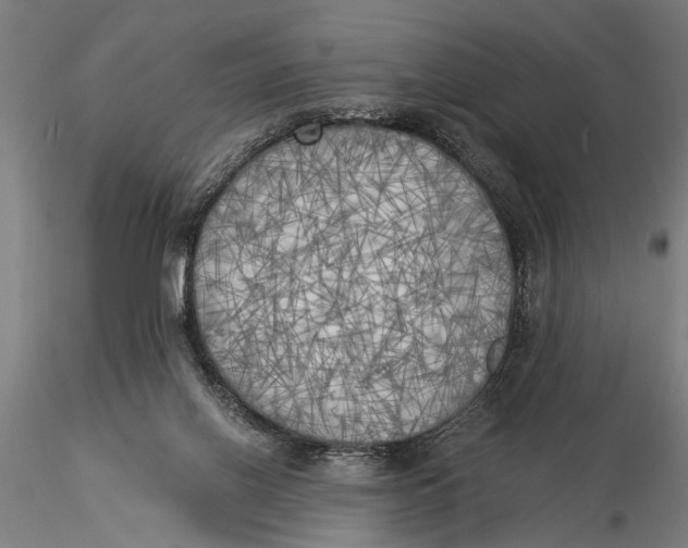 X0000116020070200912111402