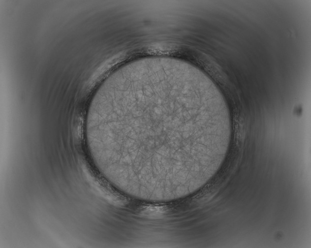 X0000116020071200912111402