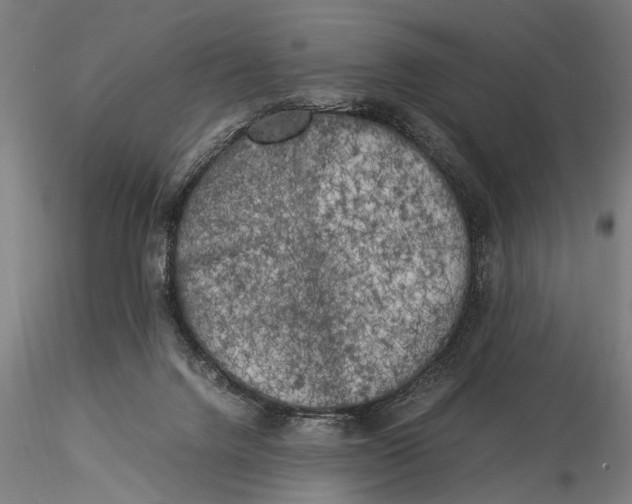 X0000116020072200912111402