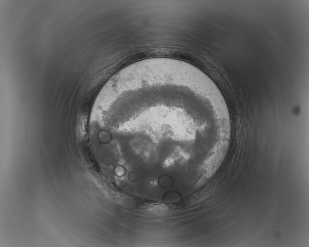 X0000116020075200912111402