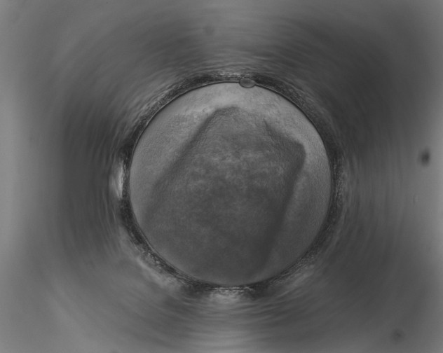 X0000116020076200912111402