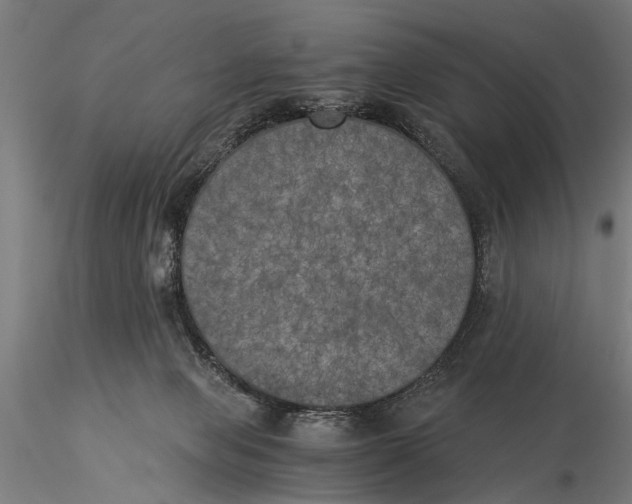 X0000116020077200912111402