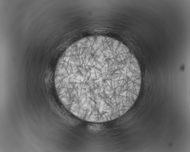 X0000116020079200912111402