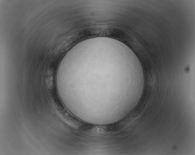 X0000116020080200912111402