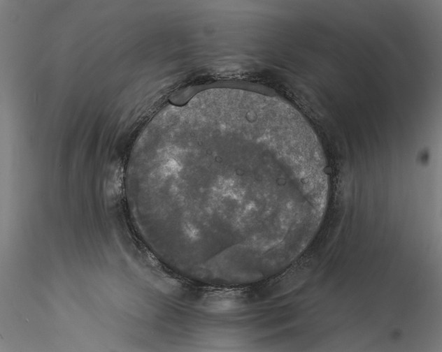 X0000116020081200912111402