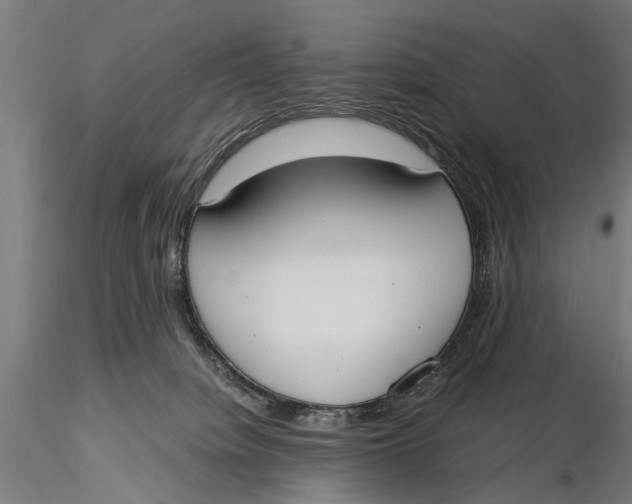 X0000116020084200912111402