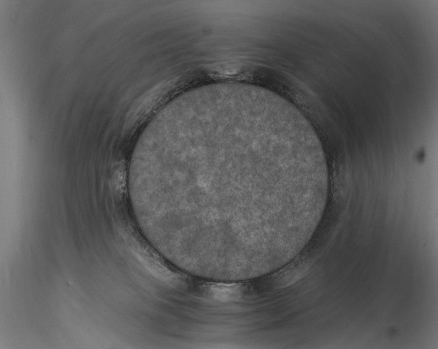 X0000116020085200912111402