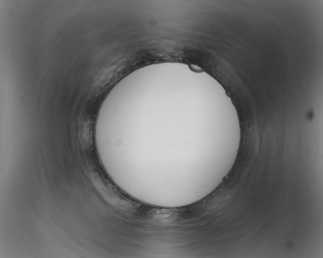 X0000116020088200912111402